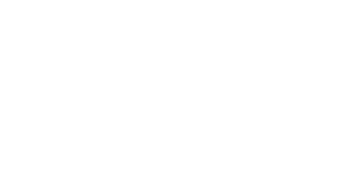 NICOLA LEUBA LOGO