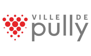 pully